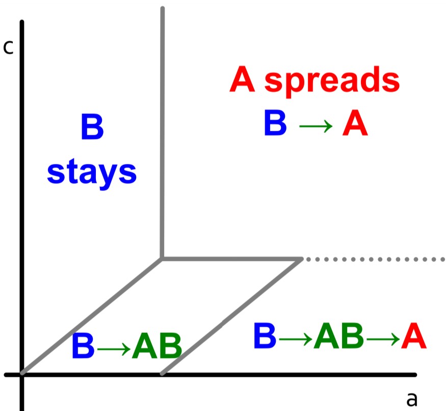 decision_case_4